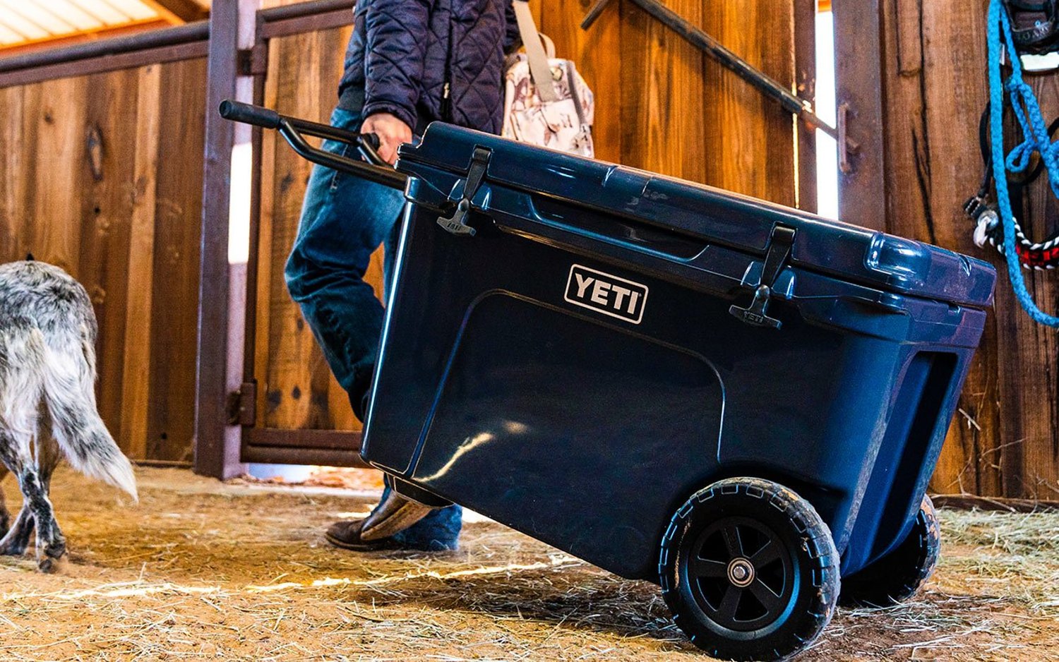 Best Rolling Coolers With Wheels